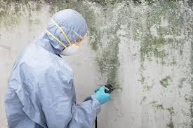 Best Mold Remediation for Healthcare Facilities  in Laughlin Af, TX